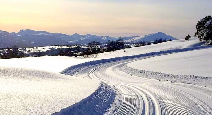 Tørsetmarka Ingrid Rognskog 250220