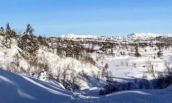 270220 ghbaevre solåsen nordmarka