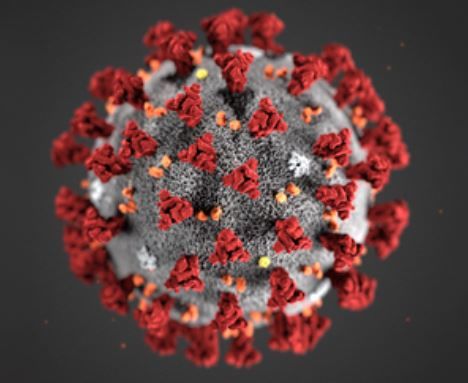 korona virus