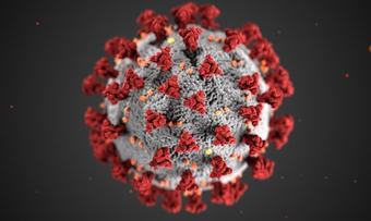 koronavirus-tema SKAL KREDITERES Foto CDC, Alissa Eckert 2