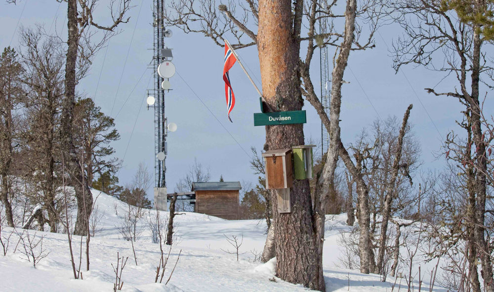 200404a-trimkasse