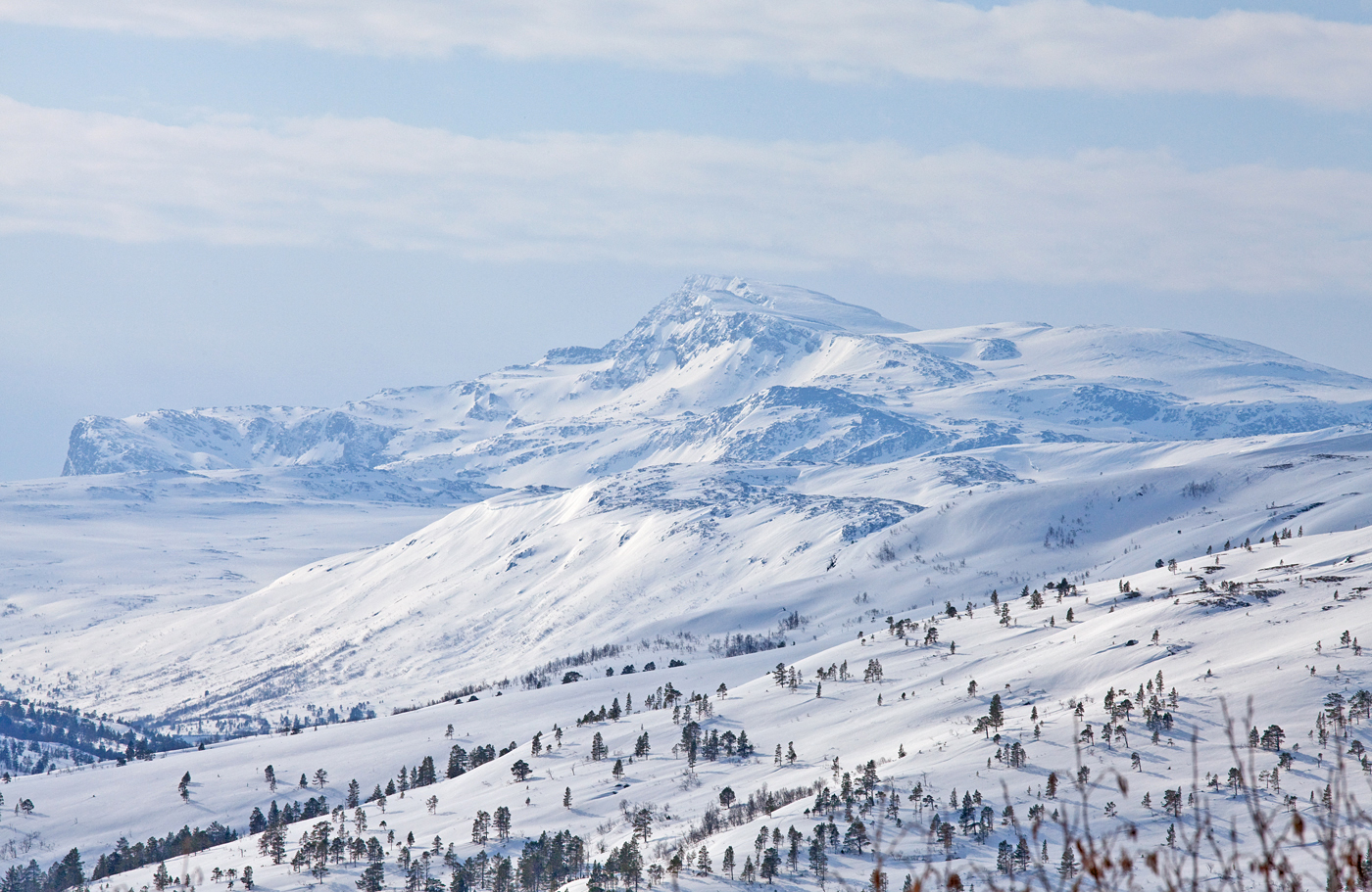 200404f-Snota.jpg