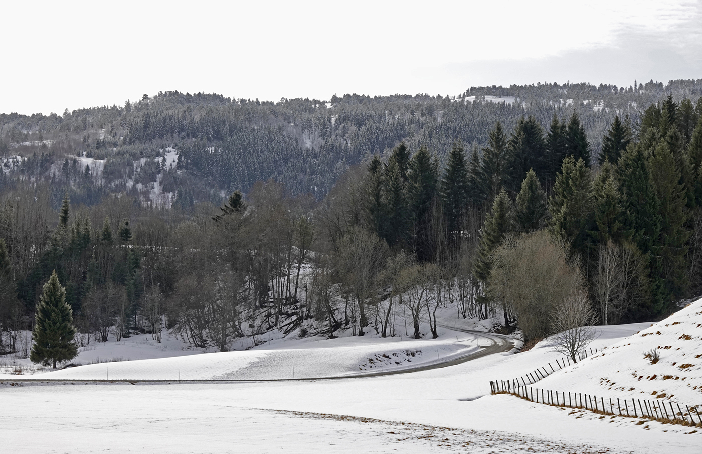 200411c-Trøvegen.jpg