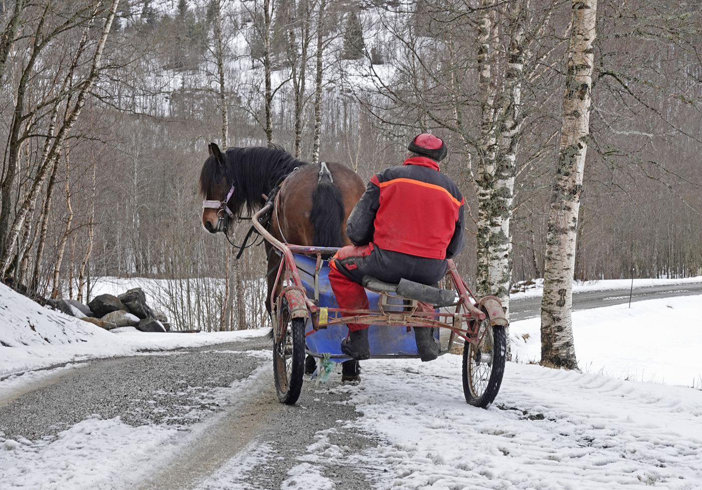 200411k-EinarM.jpg