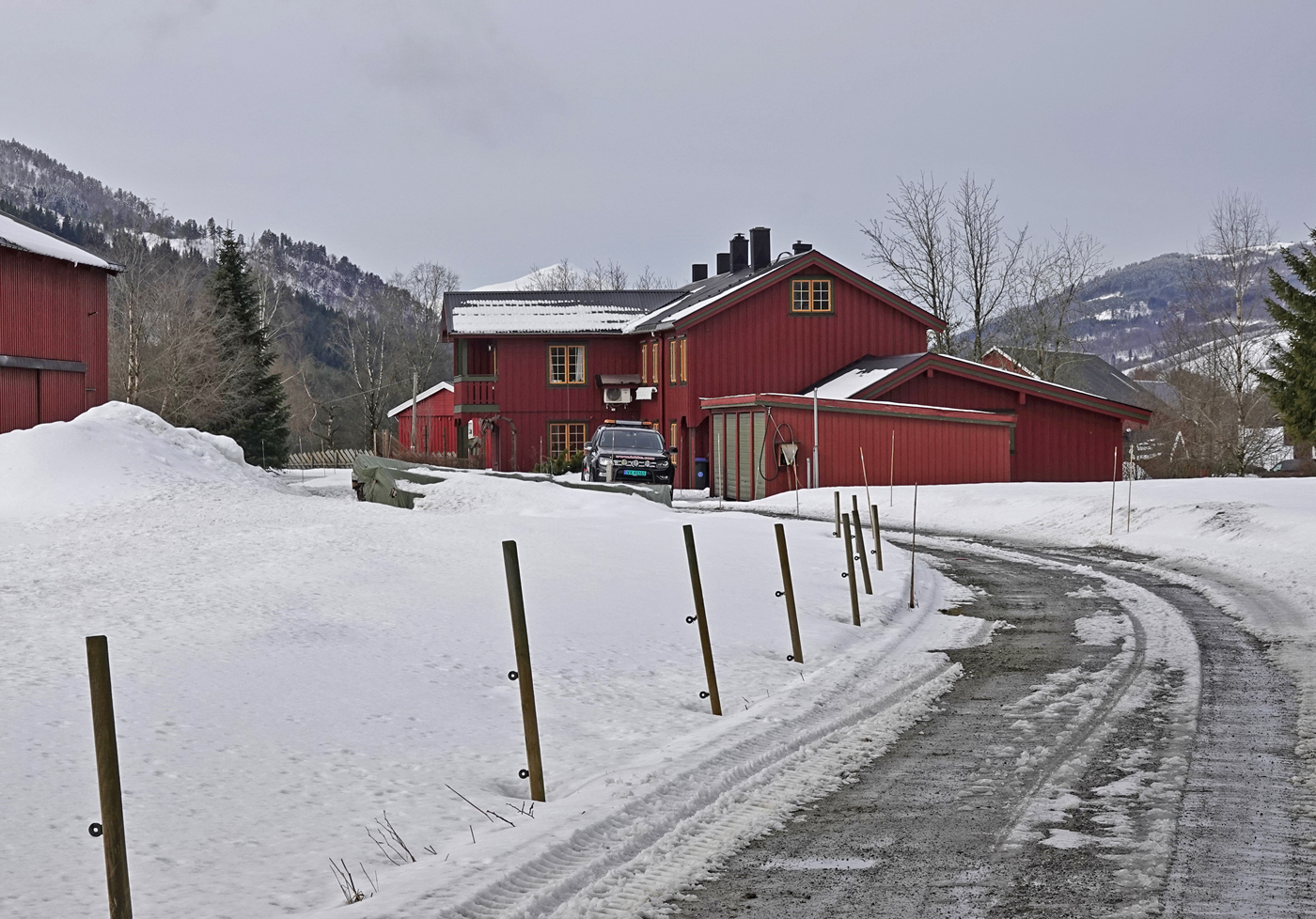 200411l-Austistua.jpg