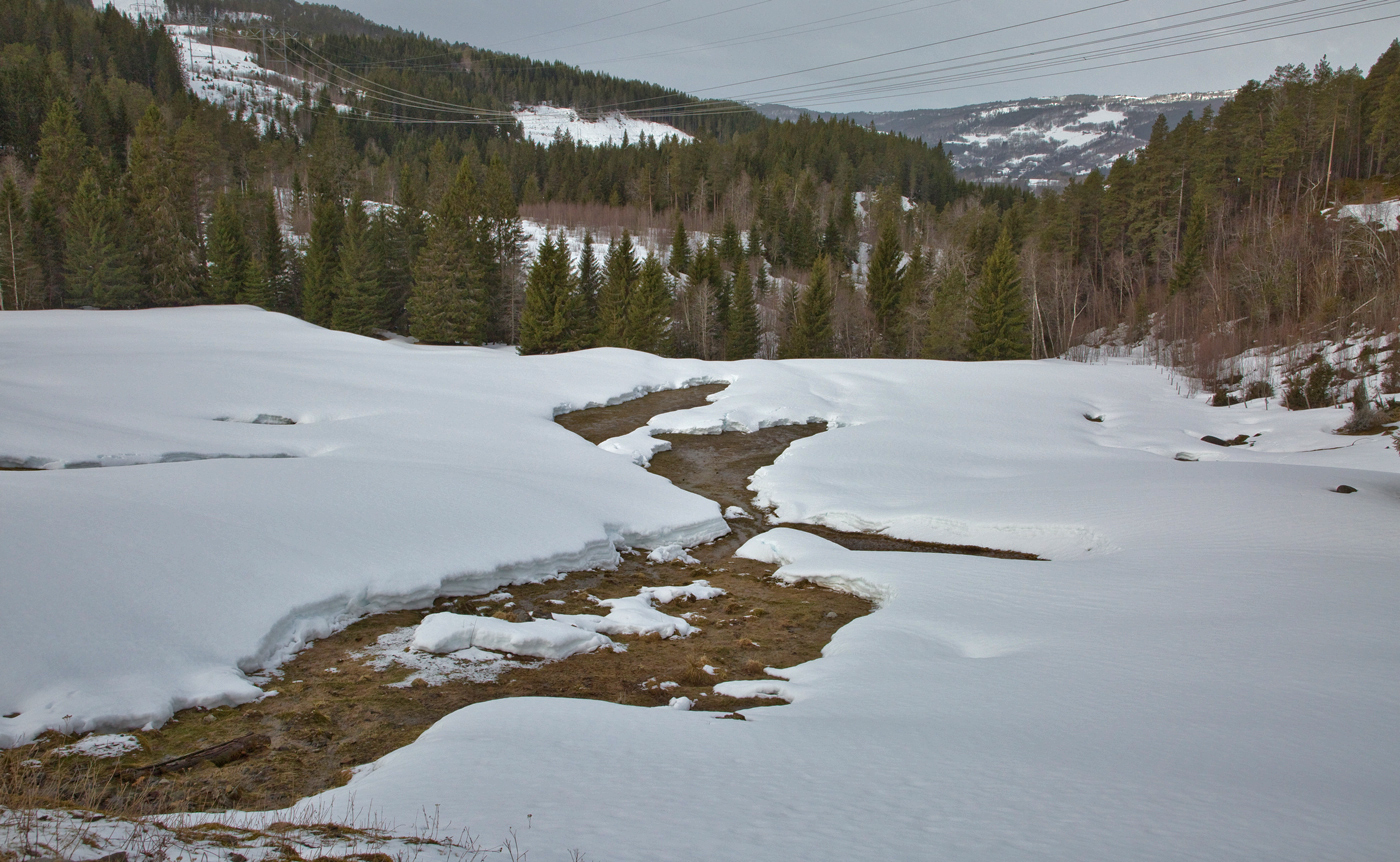 200417b-snøflate.jpg