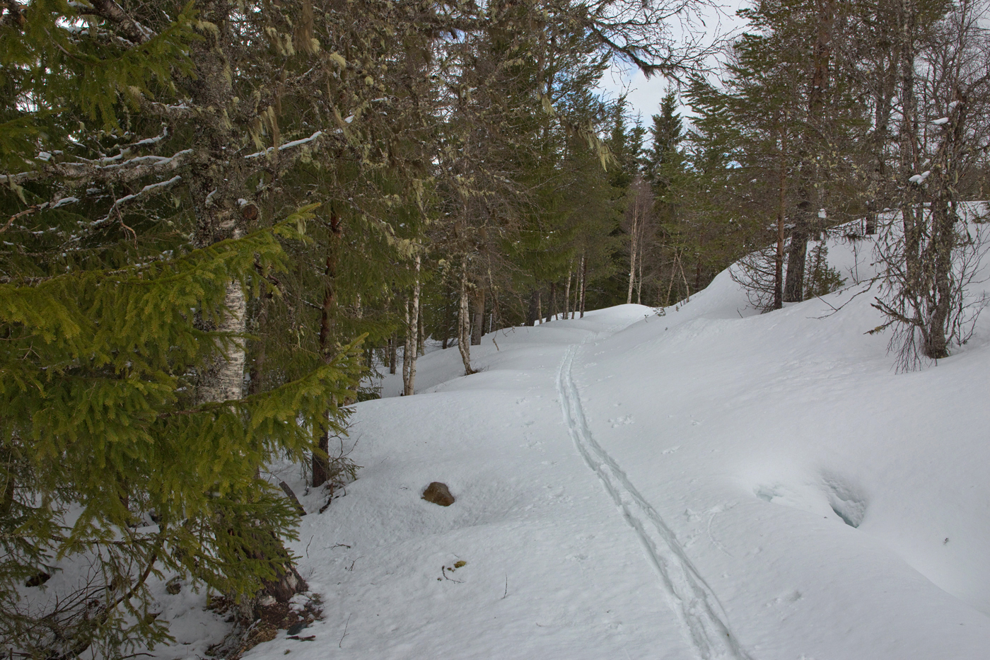 200417f-skispor.jpg