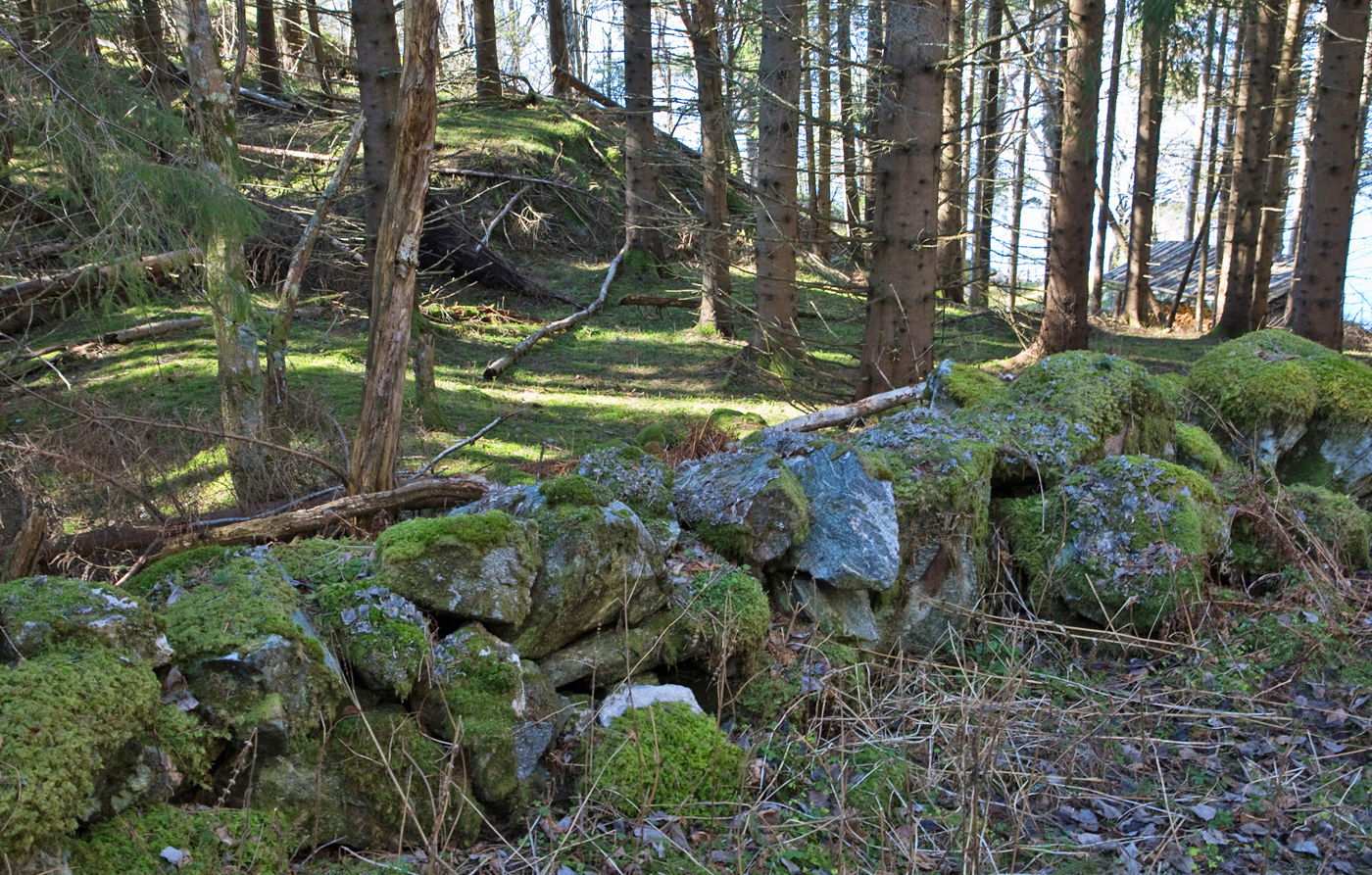200420i2-Ringen.jpg