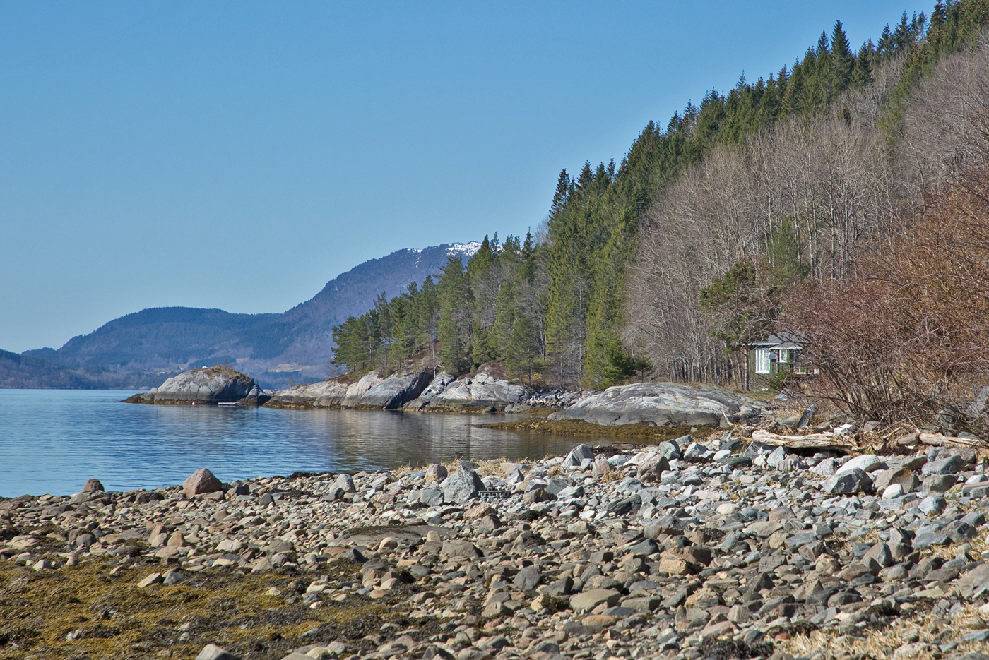 200420p-Kråka.jpg