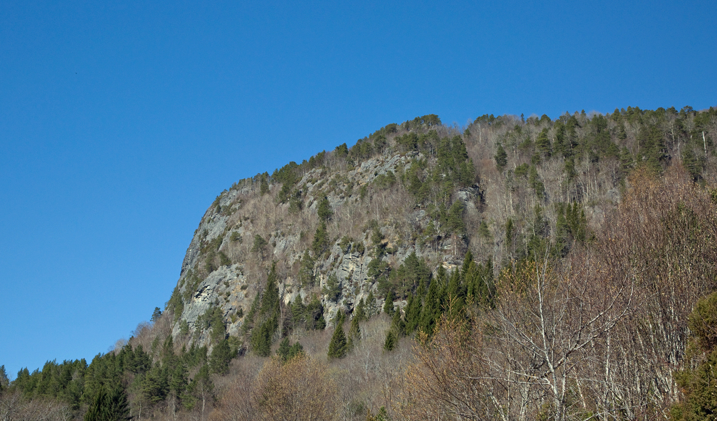 200420q-berg.jpg