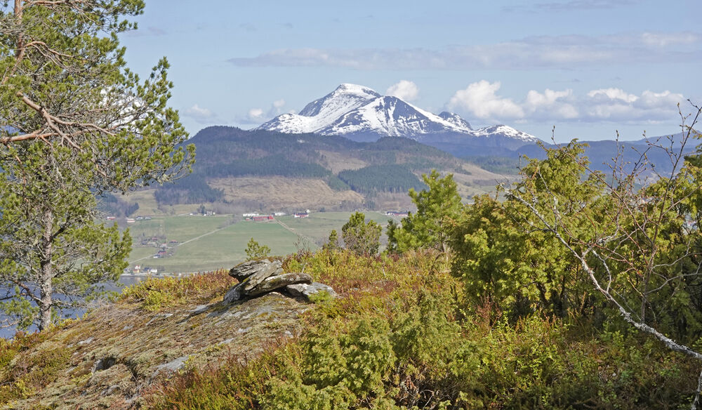 200428a-Vettahaugen