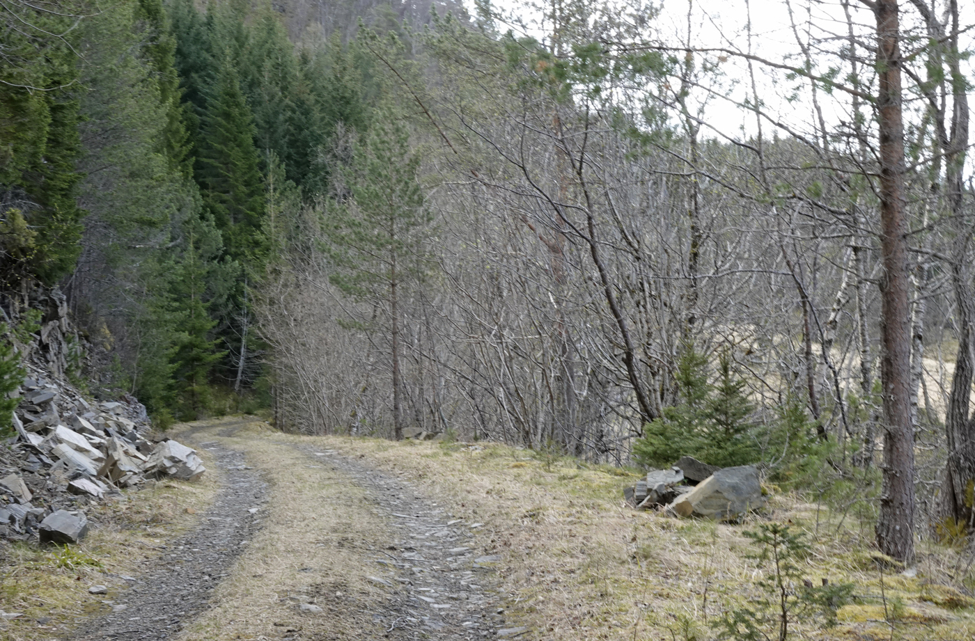 200428d-kjerrevei.jpg