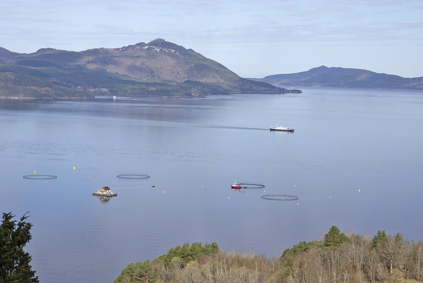 200428e-fjord.jpg