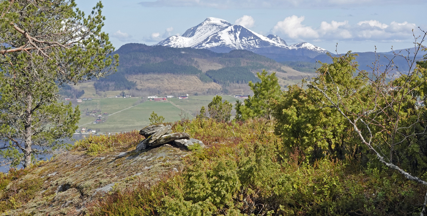 200428k-Vettahaugen.jpg
