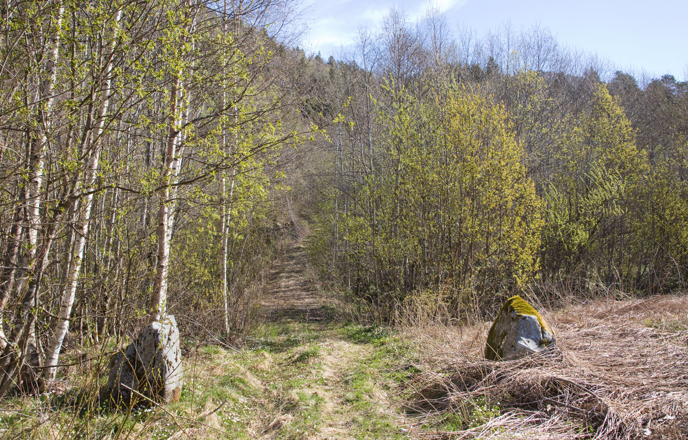 200501b-Heggøya.jpg