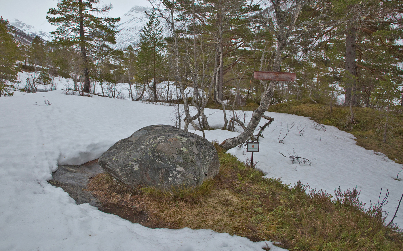 200501i-steinen1.jpg