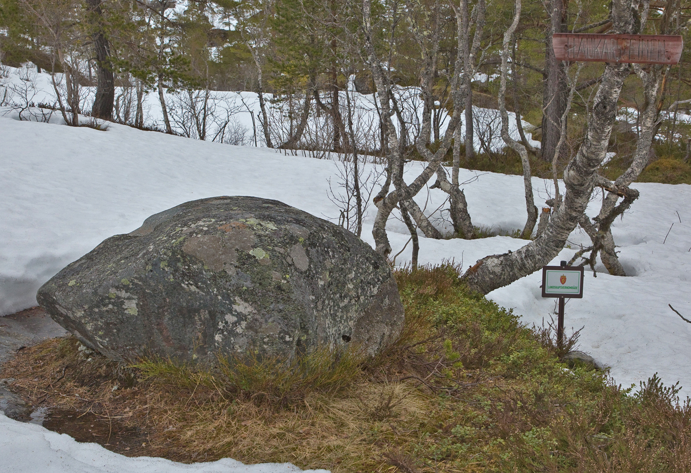 200501j-steinen2.jpg
