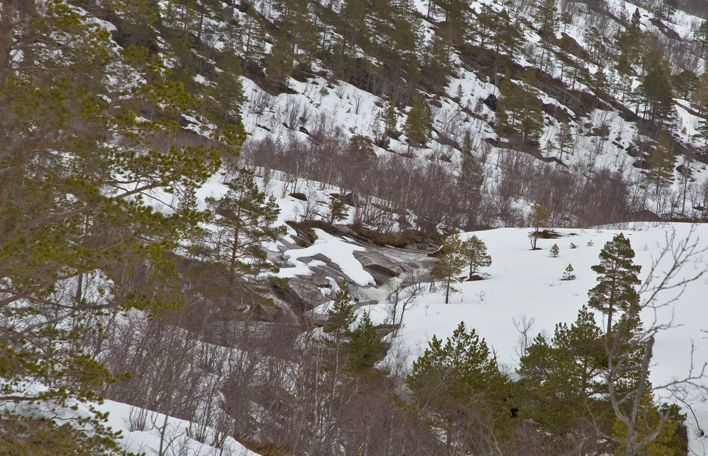 200501l-Berja.jpg