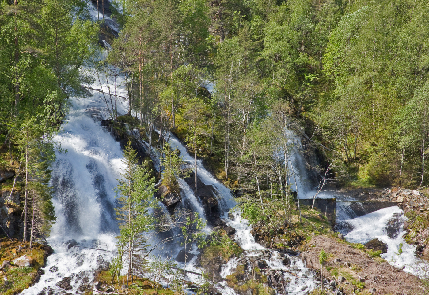 200605h-Bjøråa.jpg
