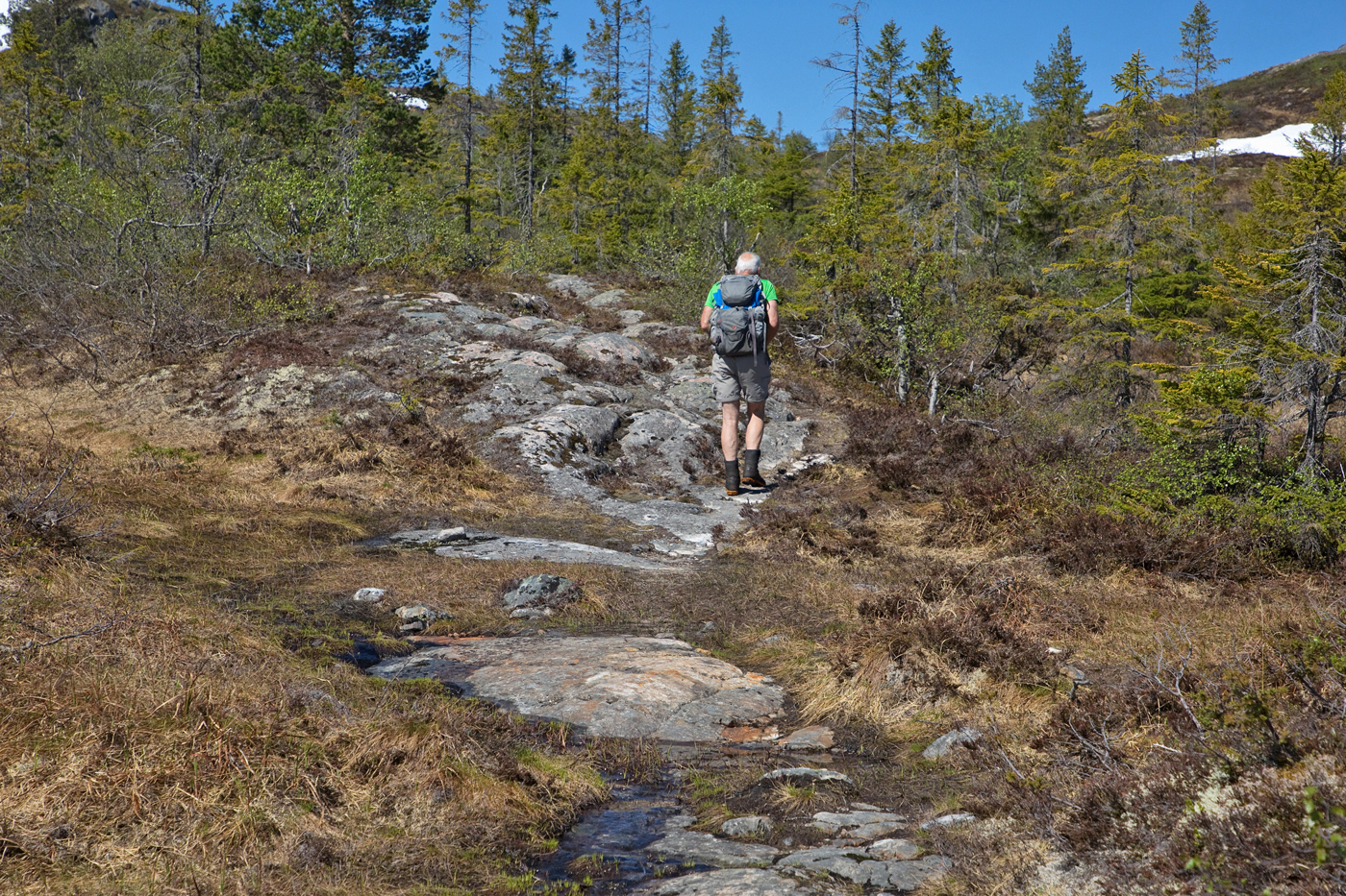 200612e-bergsti.jpg