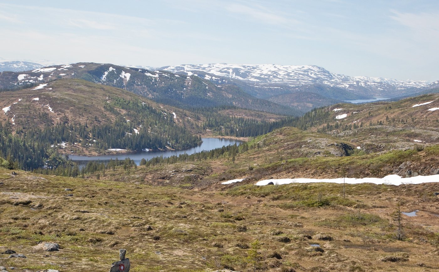 200612f-fjell.jpg