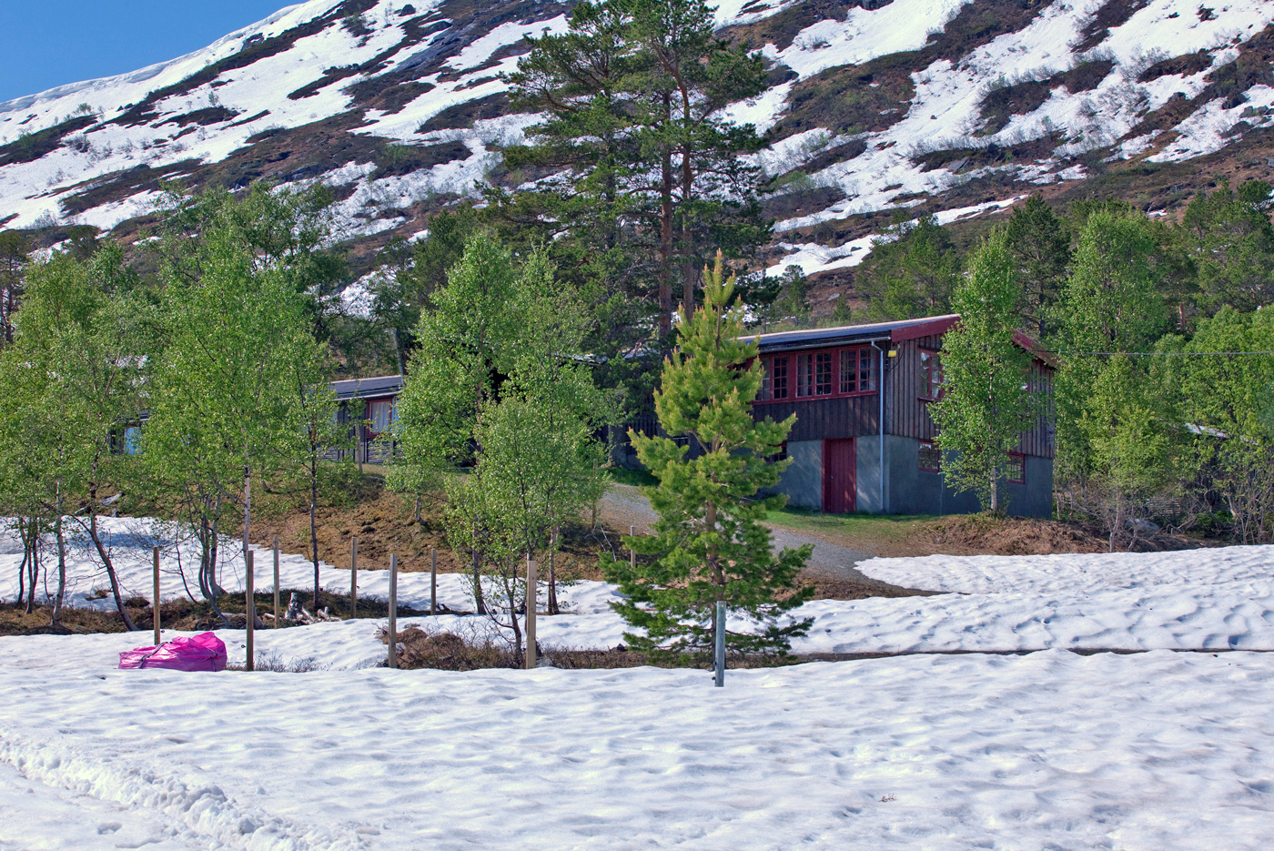 200614f-Gråhaugen.jpg
