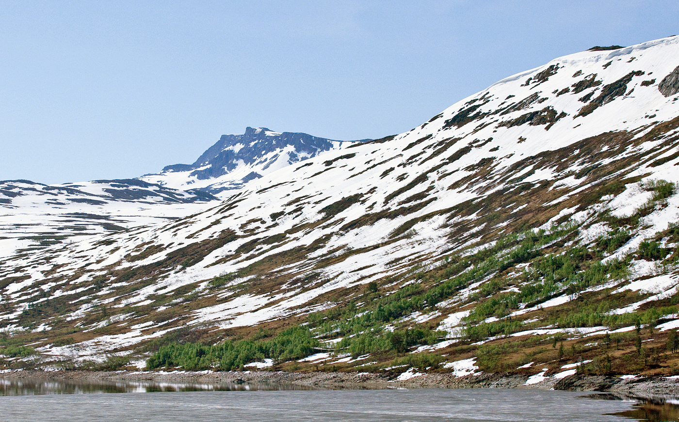 200614g-Snota2.jpg