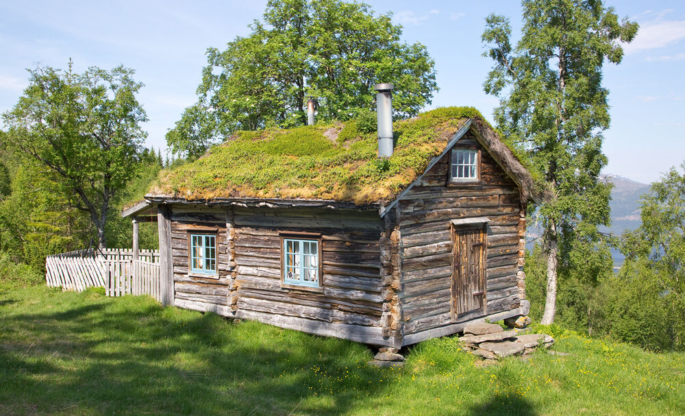200620a-Oppistua