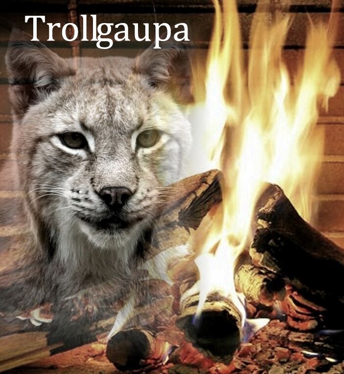 Kvalnesvika g Trollgaupa