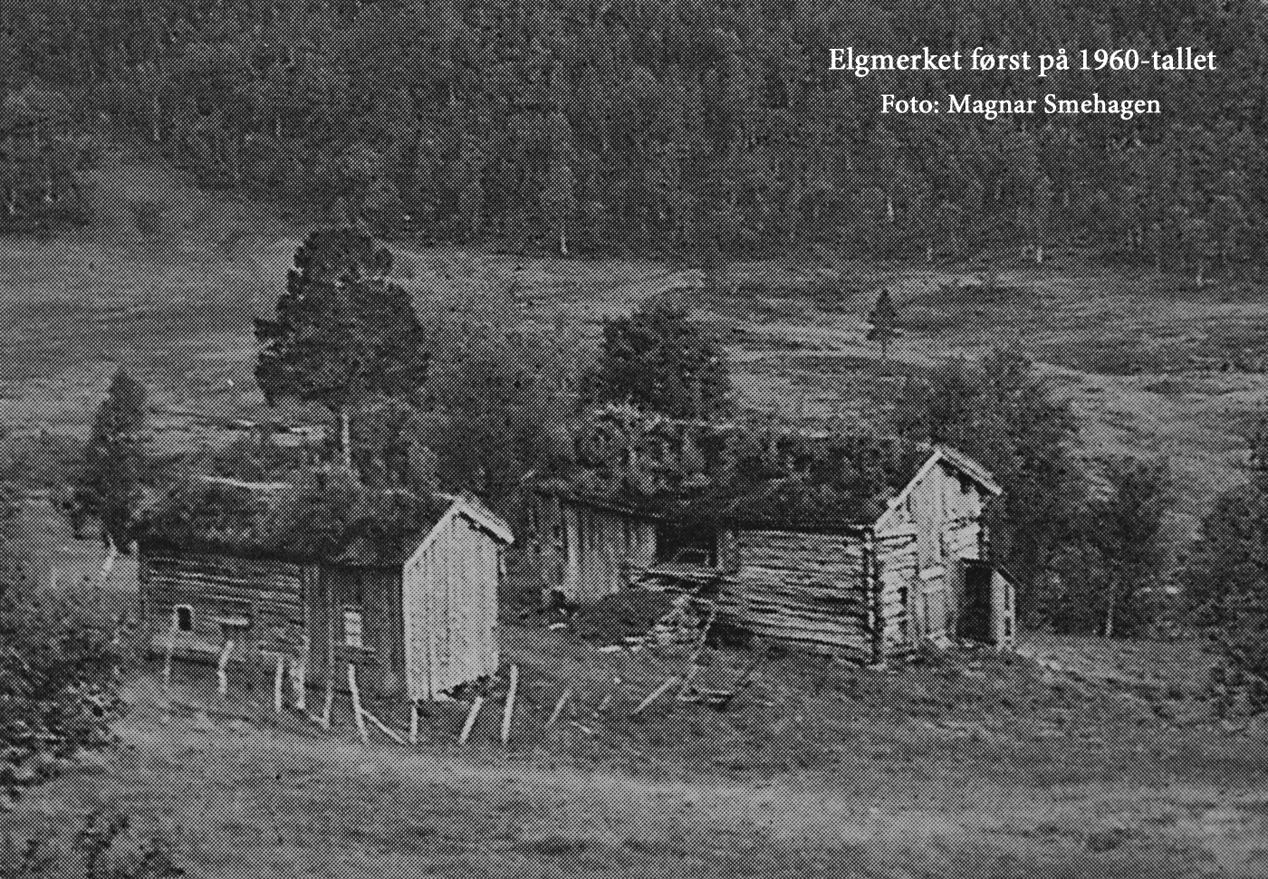 200811b-Elgmerket.jpg