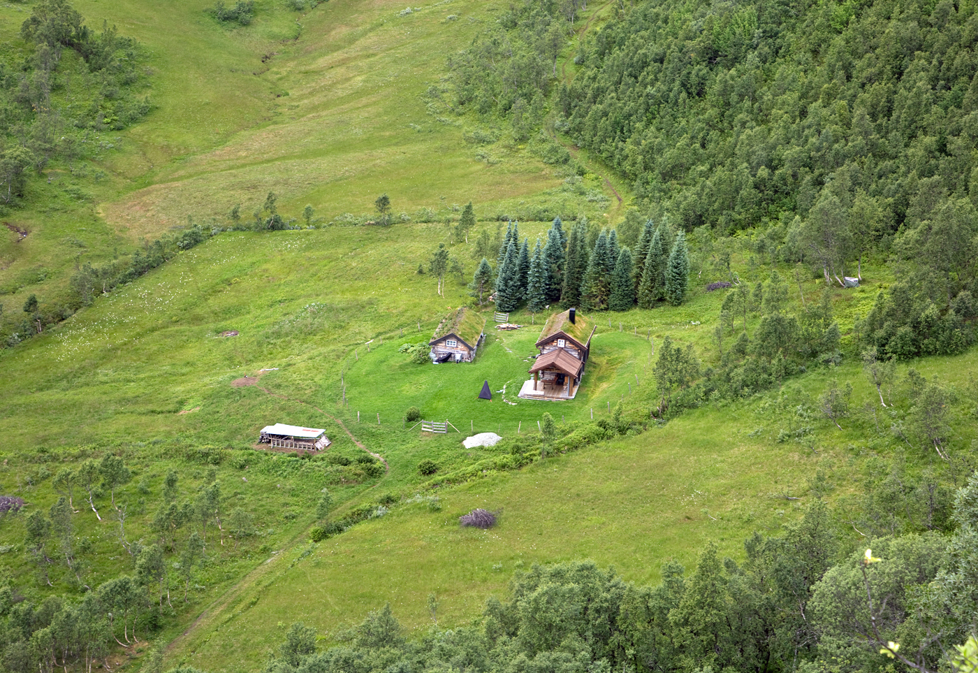 200811d-seter.jpg