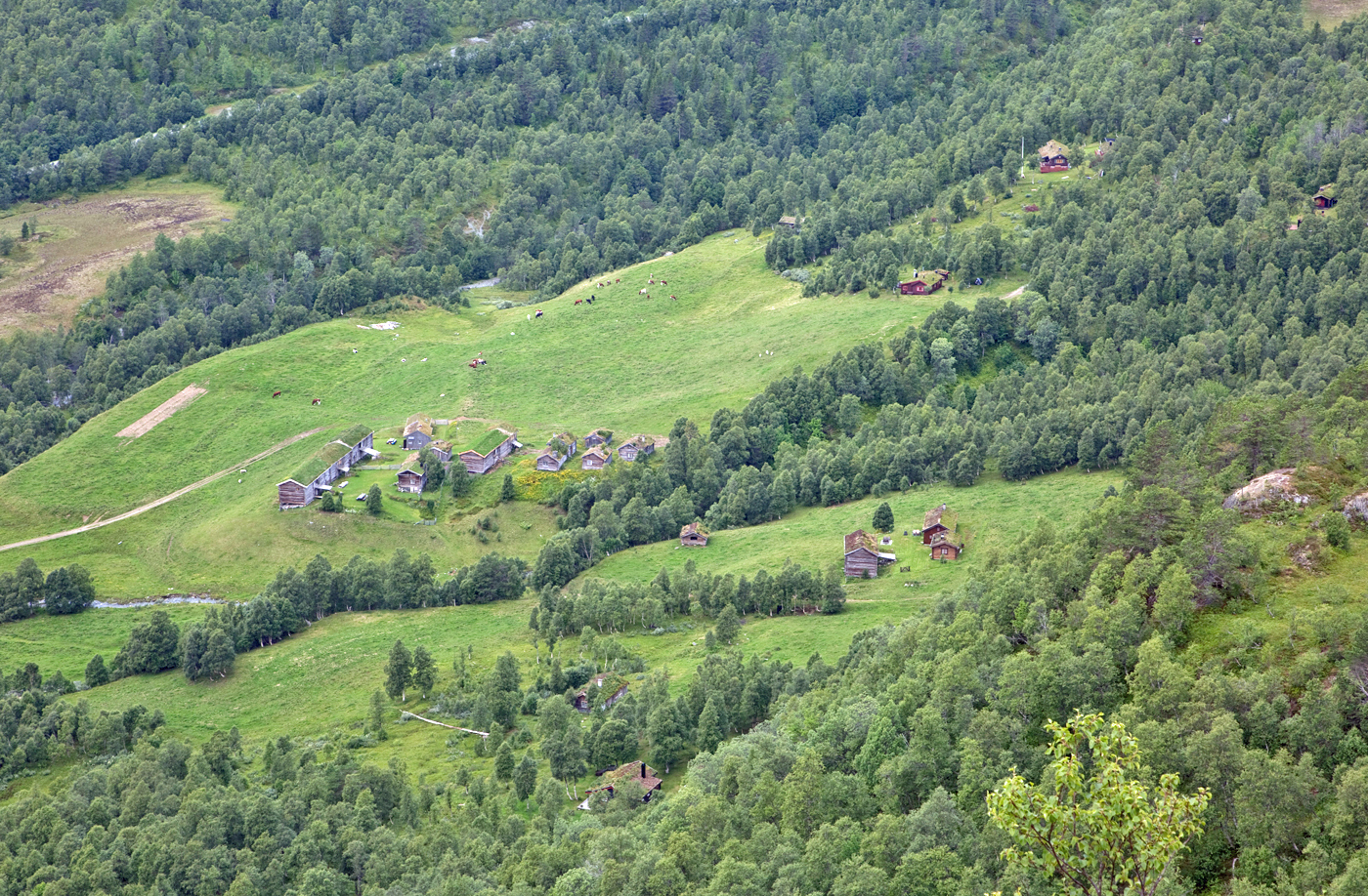 200811k-setergrend.jpg