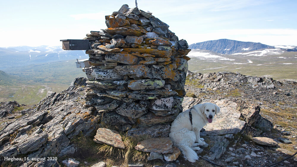 200814a-toppvarden