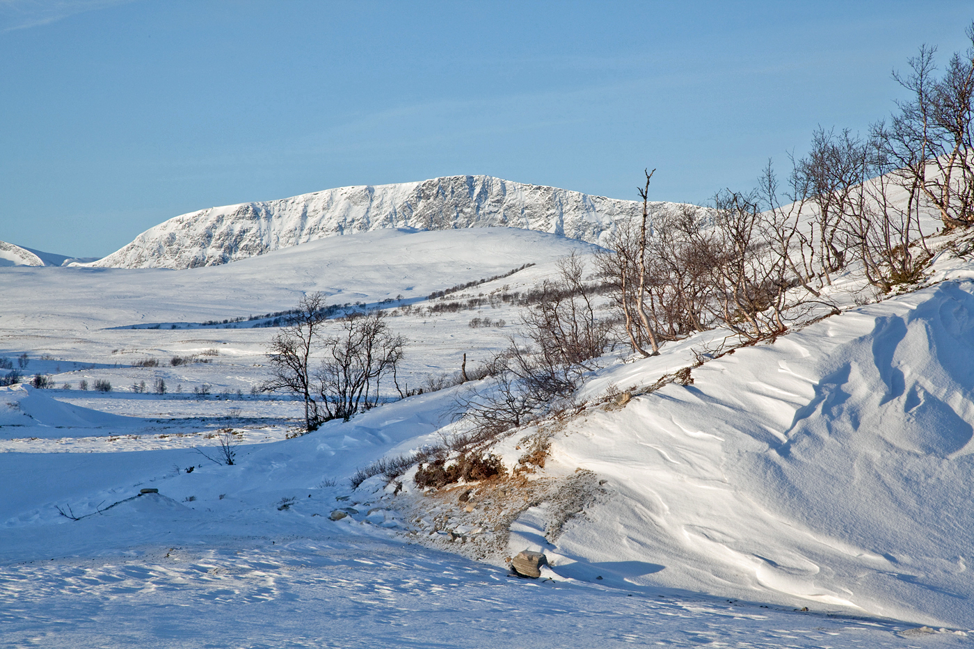 200814e-Grønadalen.jpg
