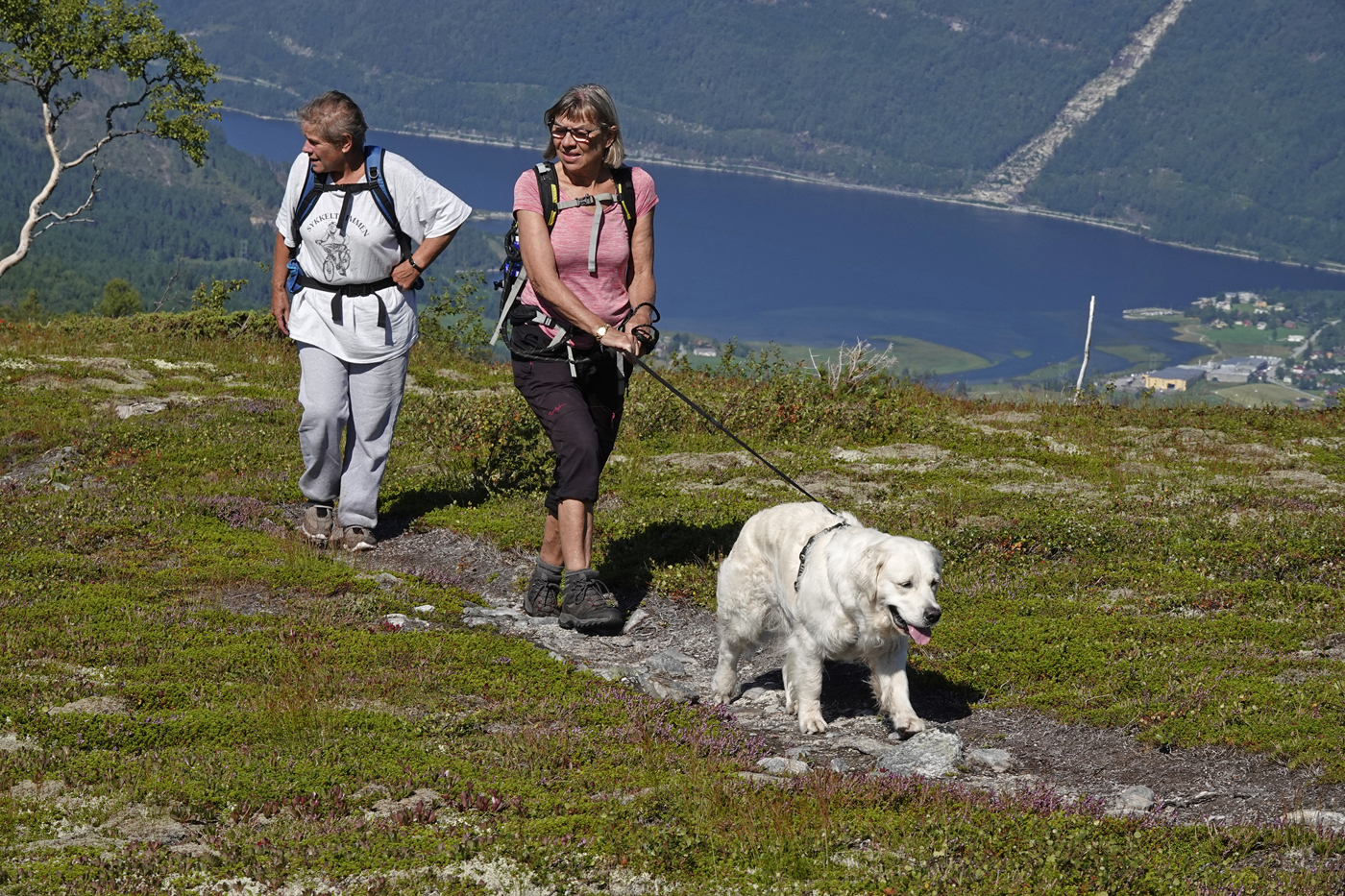 200817d-snaufjell.jpg