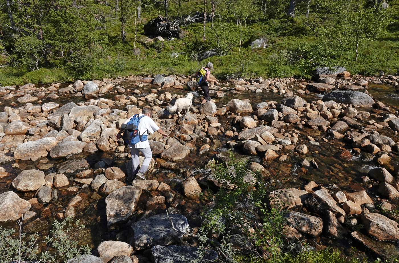 200817k-bekk.jpg