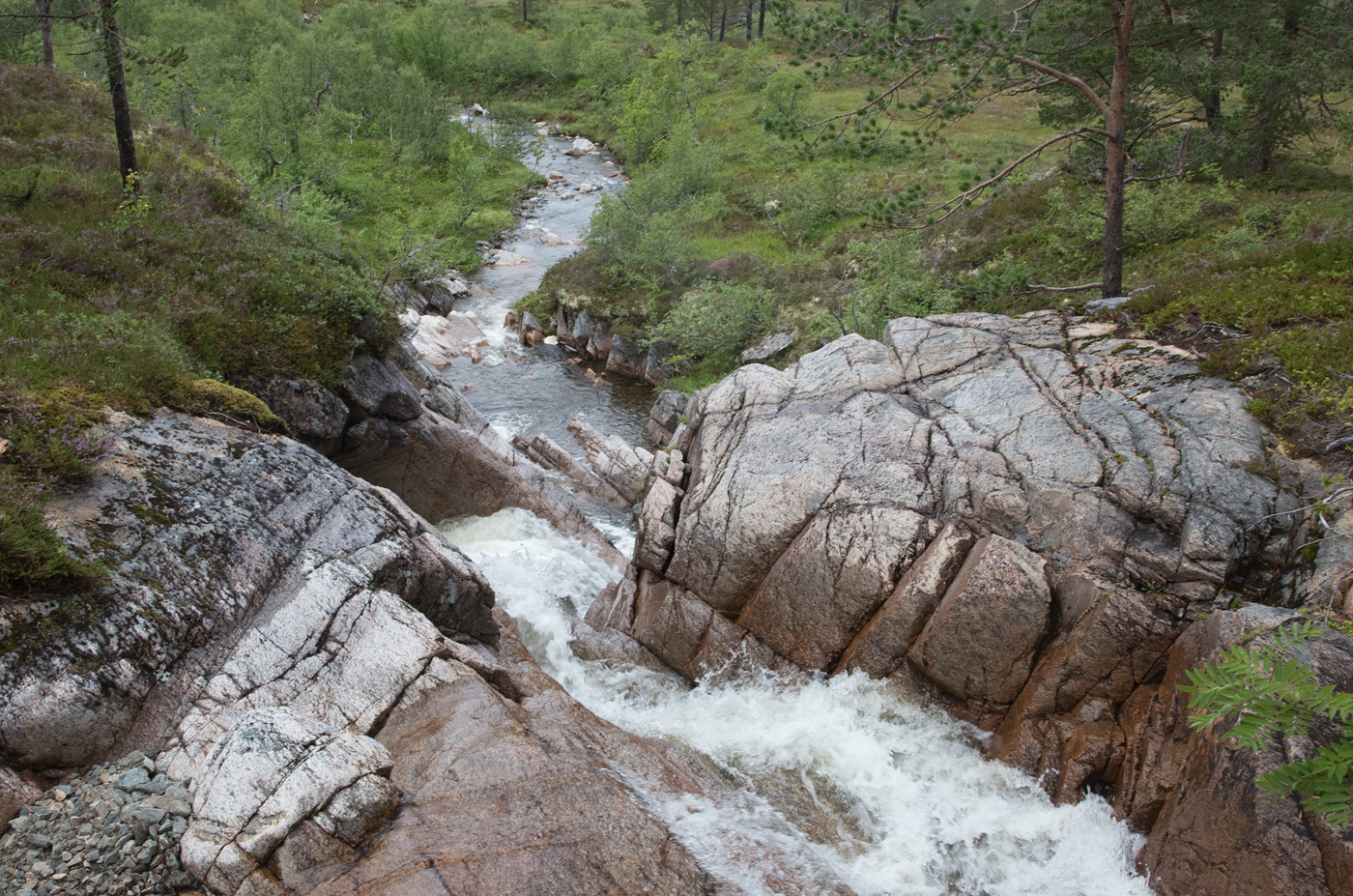 200820b-foss.jpg