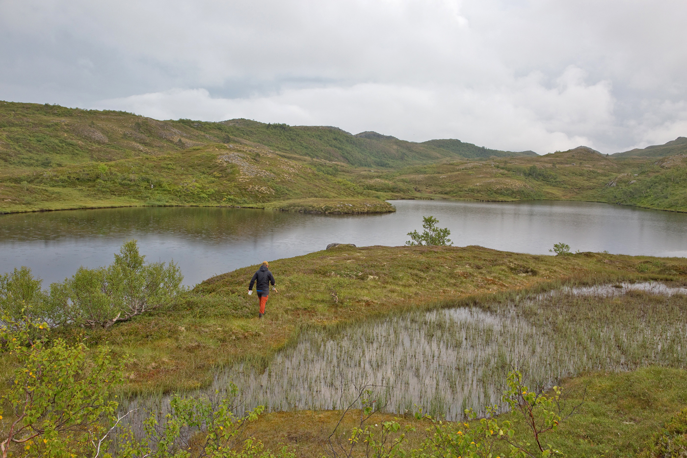 200820e-tjønnin.jpg