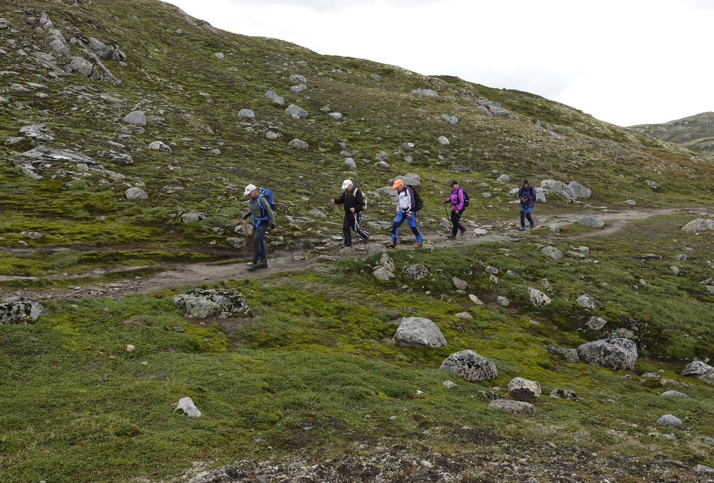 200829i-turgåere.jpg