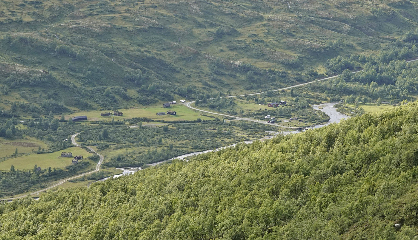 200829r-setre.jpg