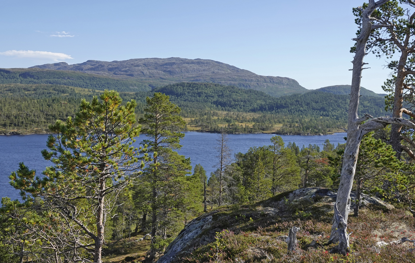 200903i-Resfjellet.jpg