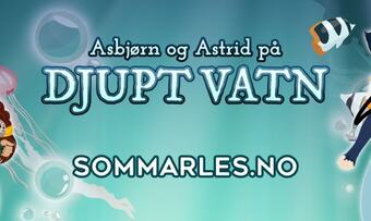 Facebook Banner (Nynorsk)