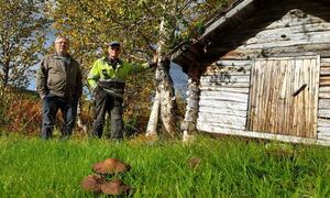 Samarbeid mellom eier og handverker er viktig når freda samiske bygninger skal settes i stand. På bildet: Eier Magnus  Varsi og handverker Arne Graven. Foto Sametinget