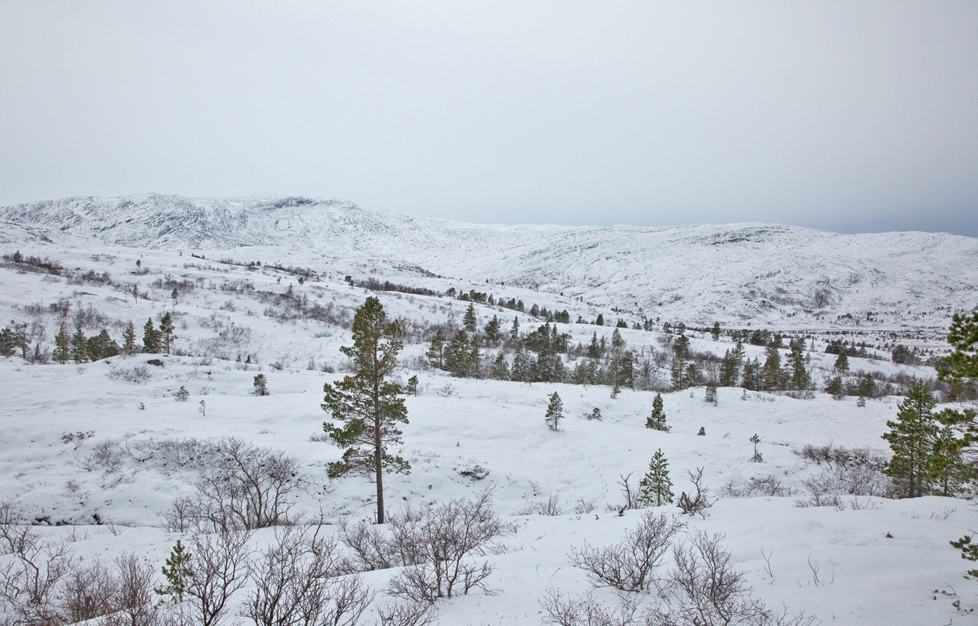 201020l-fjell.jpg