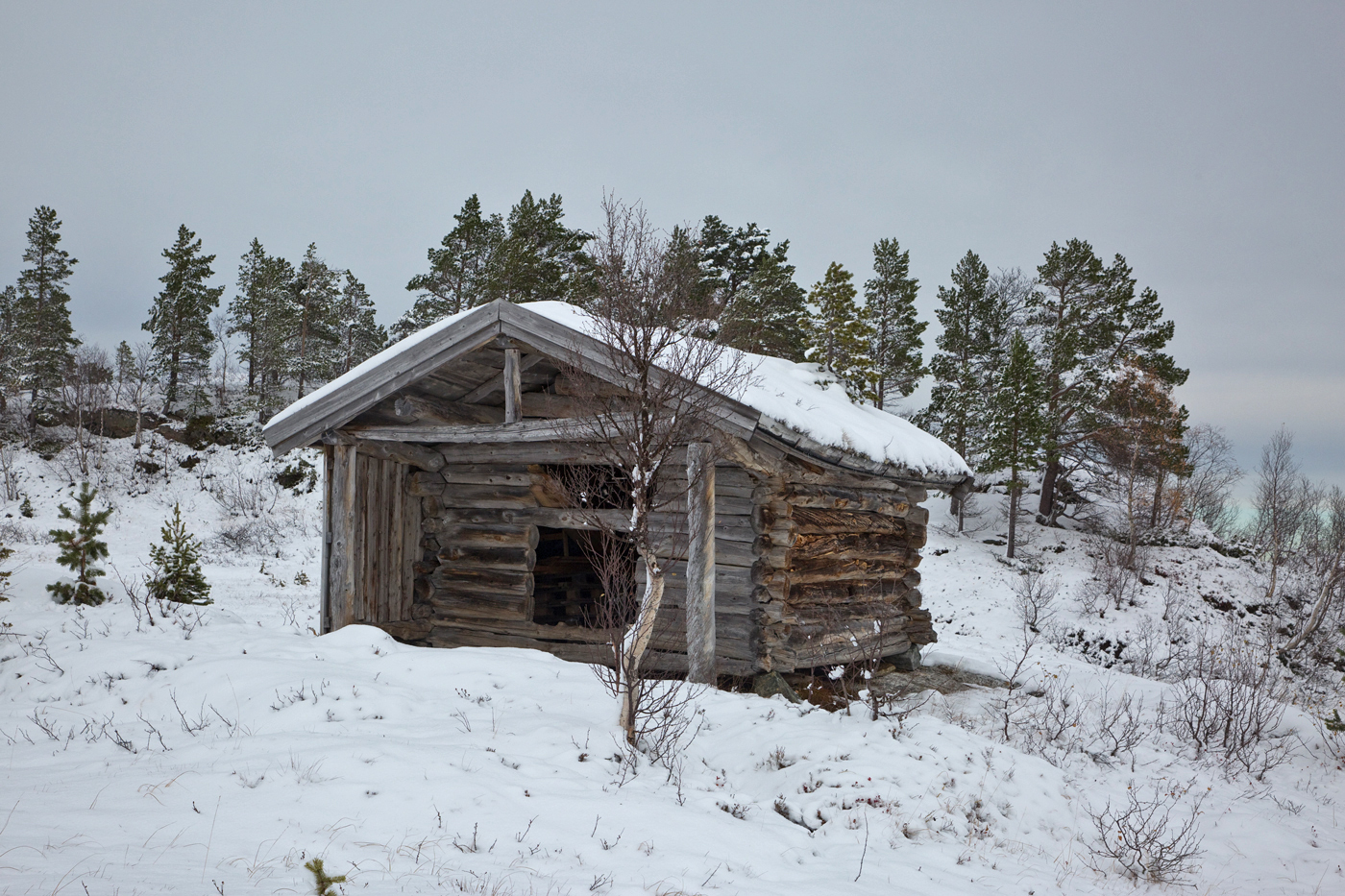 201020m-høyløe.jpg