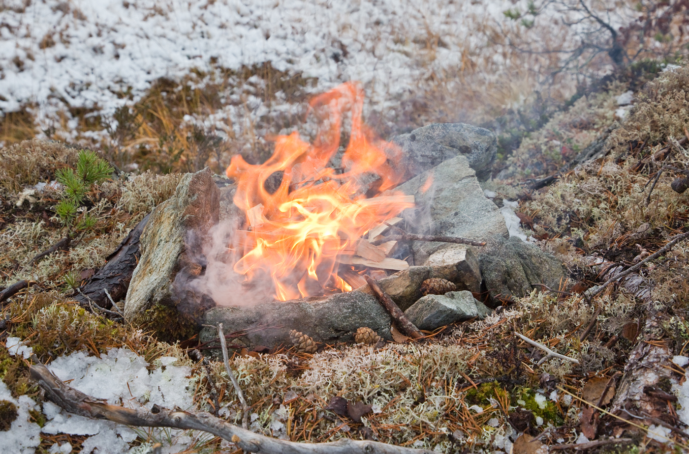 201020r-flammer.jpg