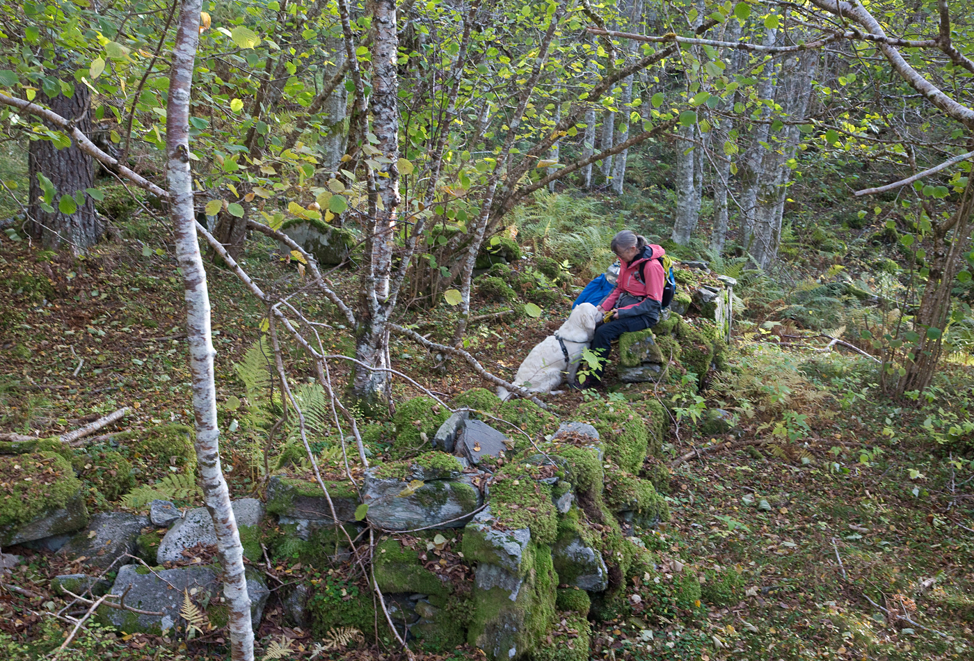 201026d-tuft.jpg