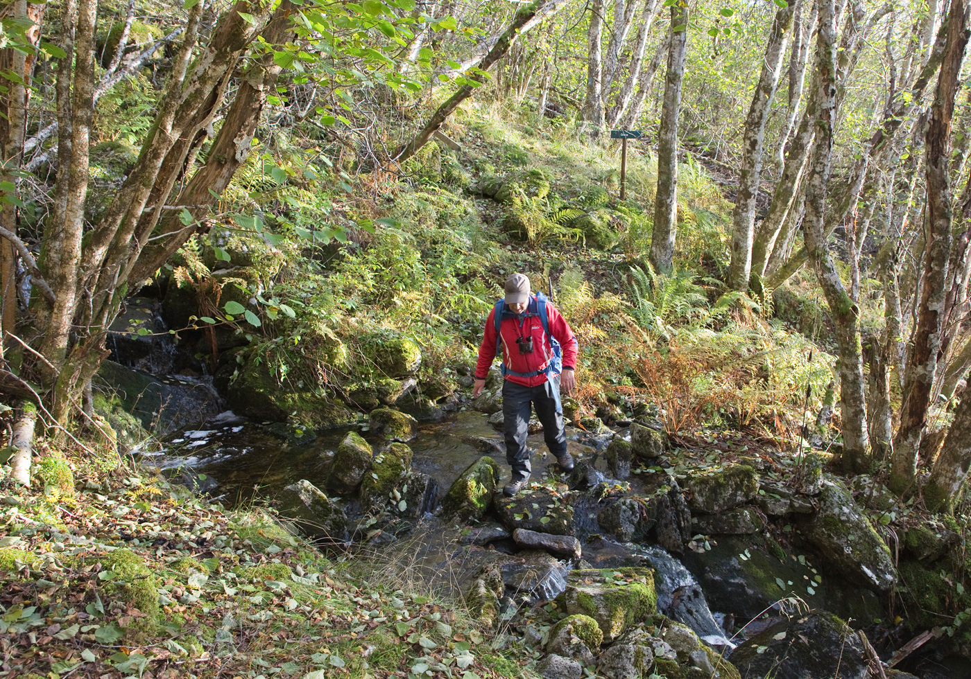 201026j-bekk.jpg