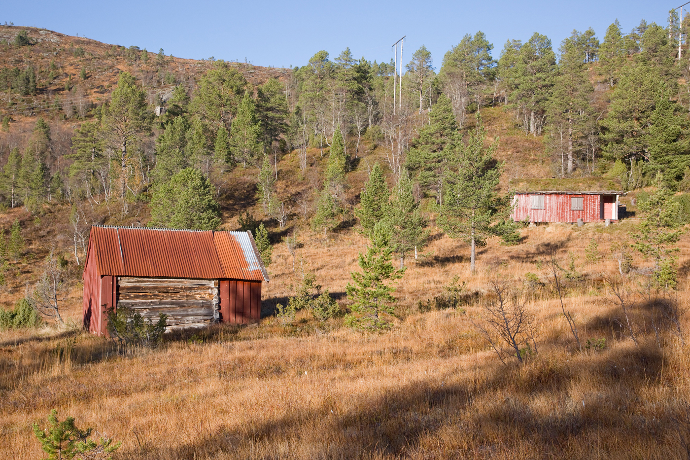 201030e-Vika.jpg