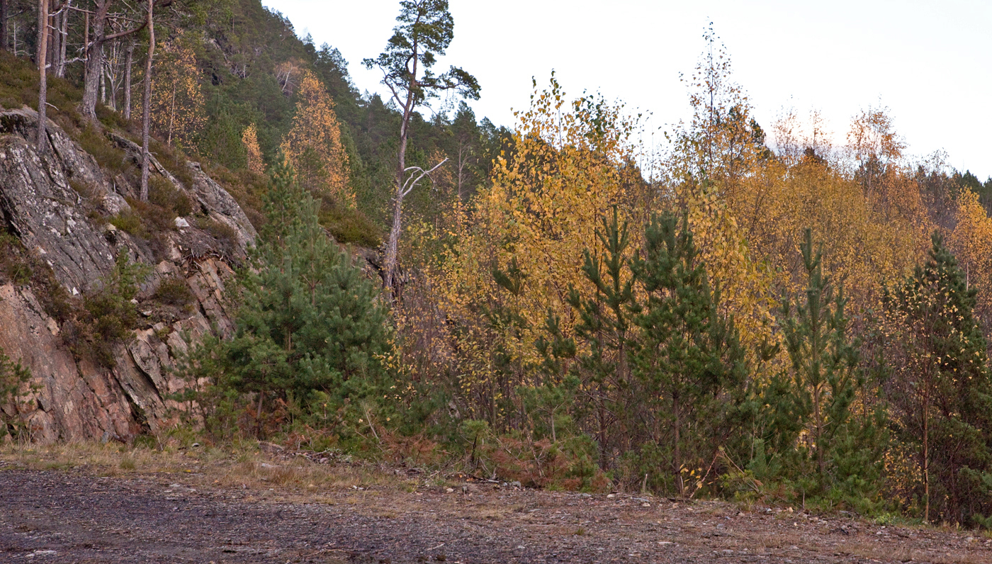 201030j-høst.jpg